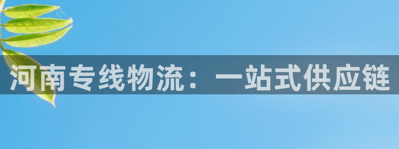 狗子28官网下载多少钱一个：河南专线
