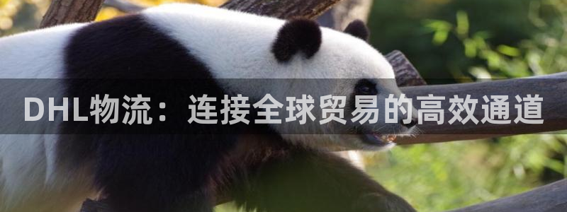 狗子28反水什么时候到：DHL物流：