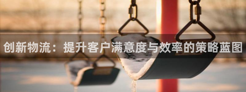 狗子28正规吗?：创新物流：提升客户