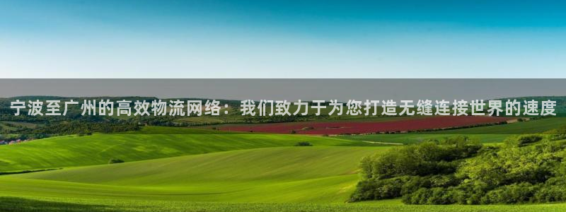 狗子28ip被限制怎么解决：宁波至广