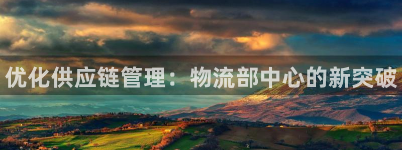 狗子28怎么注册下载：优化供应链管理