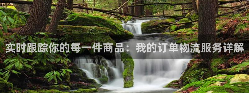 狗子28推广链接是多少：实时跟踪你的