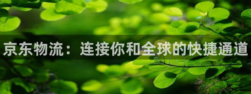 狗子28分分28输了能不能退：京东物