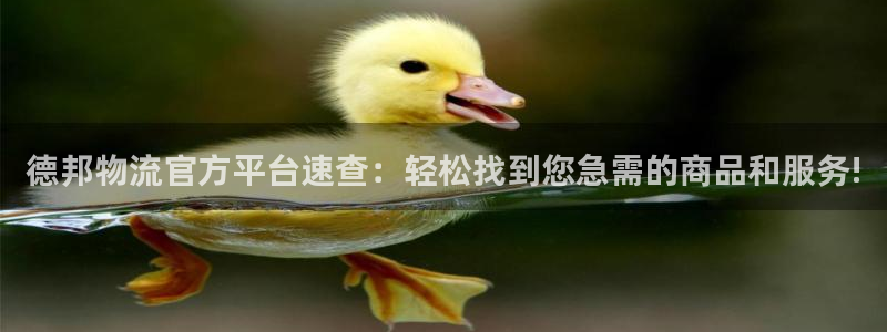 狗子28登录网：德邦物流官方平台速查