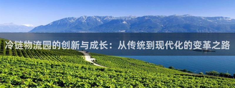 狗子28麻将：冷链物流园的创新与成长