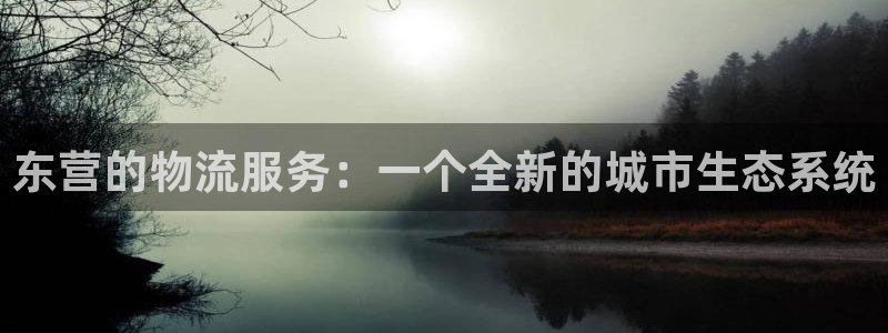 麻将1狗子28：东营的物流服务：一个