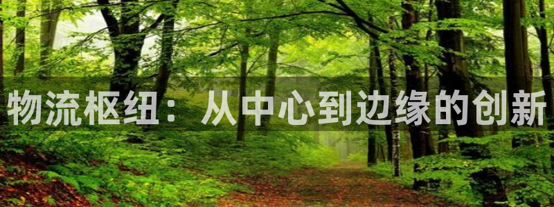 狗子28注册官网：物流枢纽：从中心到