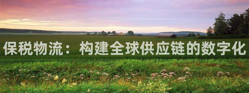 狗子28官网下载链接是什么网站：保税