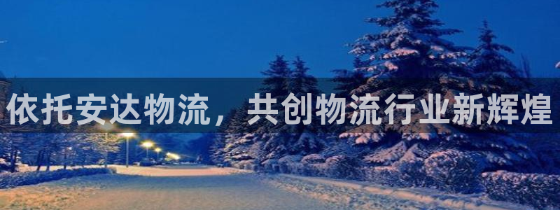 狗子28网赌有什么风险：依托安达物流