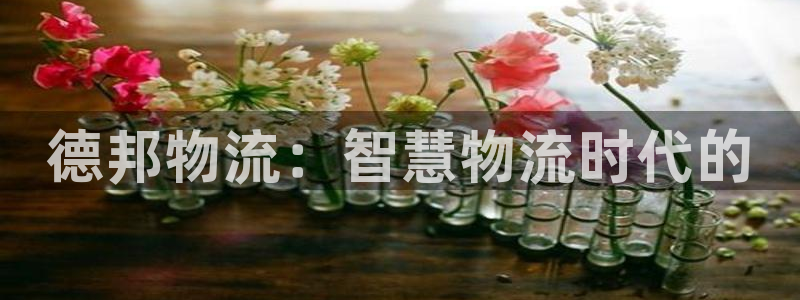 狗子28相信品牌的力量：德邦物流：智