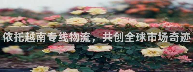 狗子28充值不到账怎么办：依托越南专