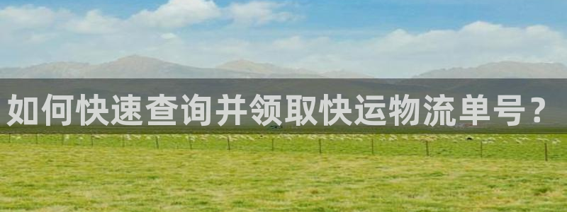 狗子28提款一直没到:如何快速查询并