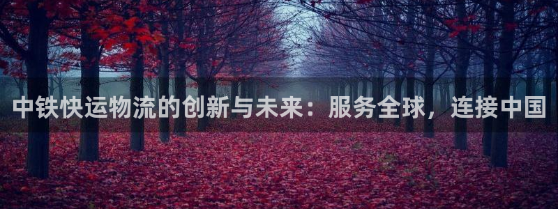 南宫狗子28官网：中铁快运物流的创新