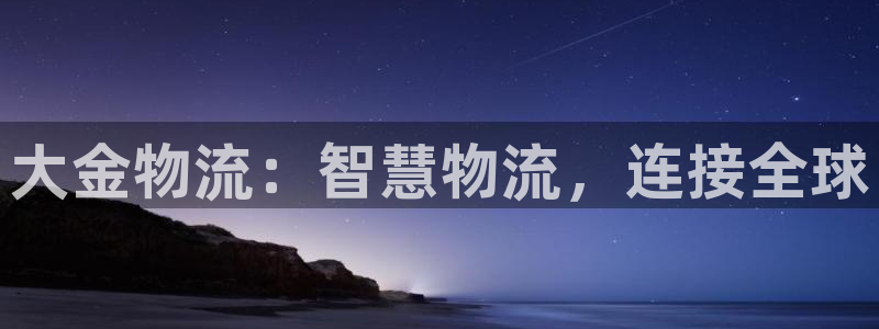 麻将1狗子28：大金物流：智慧物流，