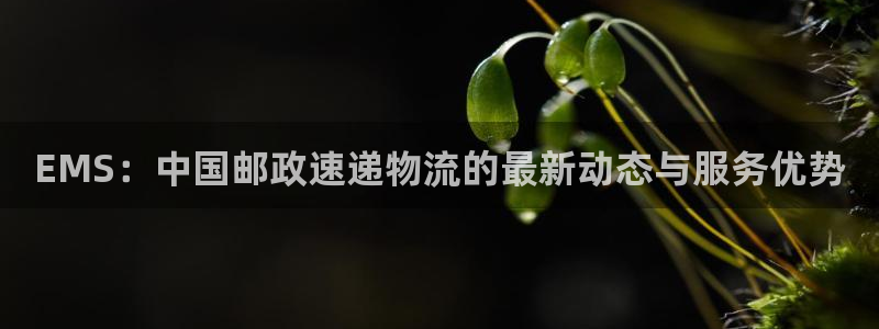 狗子28官网下载链接：EMS：中国邮