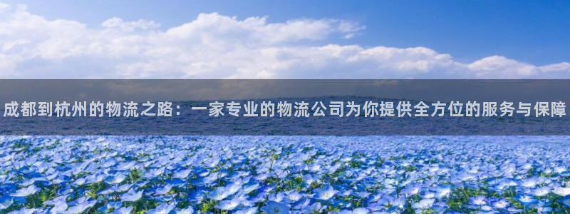 狗子28黑平台吗：成都到杭州的物流之