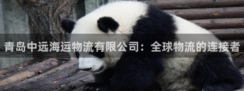 狗子28模拟器下载：青岛中远海运物流