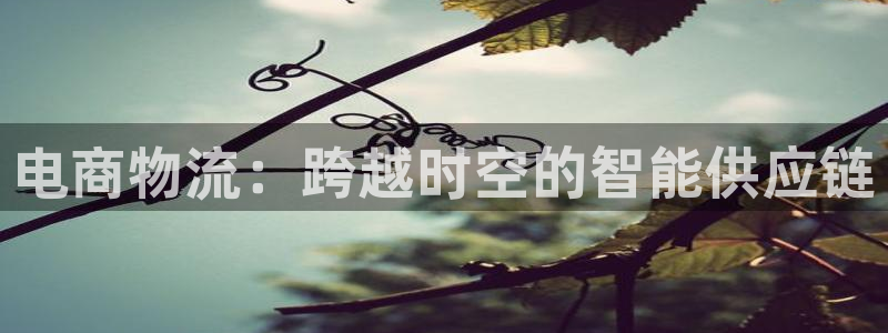 狗子28模拟器：电商物流：跨越时空的