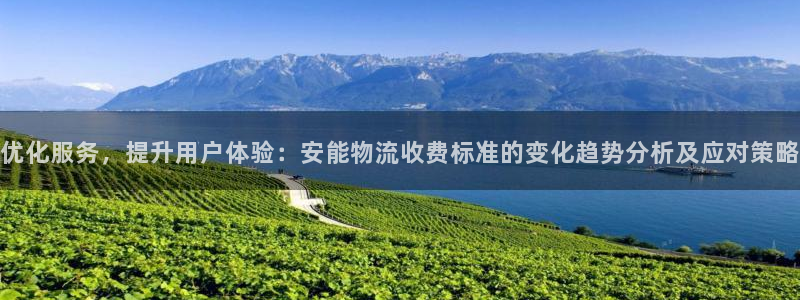 狗子28在线预测：优化服务，提升用户