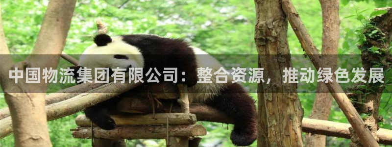 狗子28推广链接是多少粉丝：中国物流
