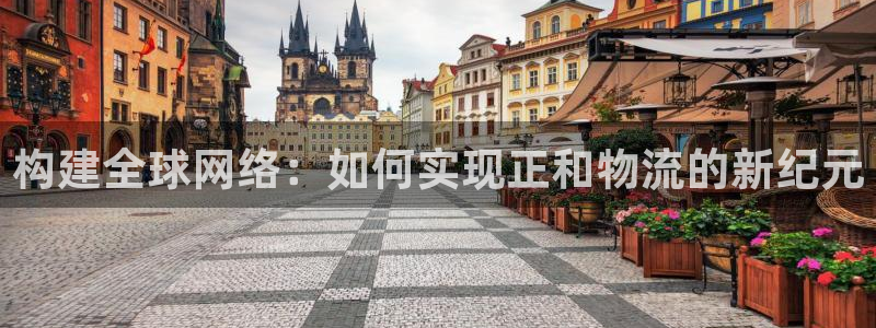 狗子28免费:构建全球网络:如何实现