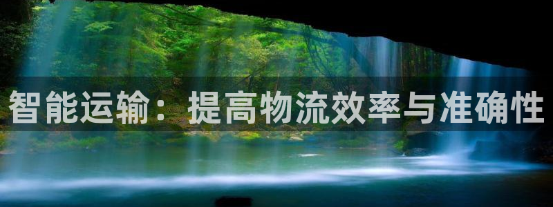 狗子28注册用户名是什么:智能运输: