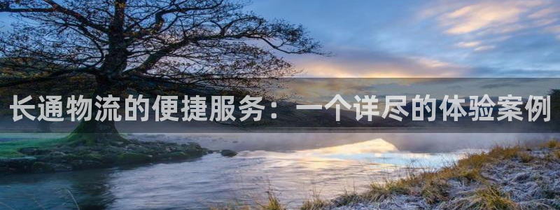 狗子28注册登录链接流程:长通物流的