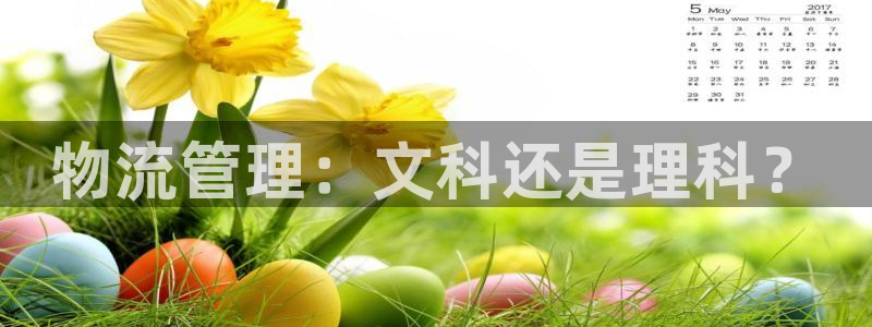 狗子28流水怎么算