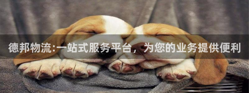 狗子28官方网站预测:德邦物流:一站