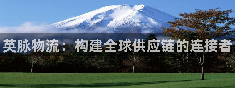 狗子28ip被限制怎么解决：英脉物流